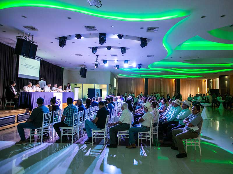 Socios Unión de Crédito Puerto Vallarta