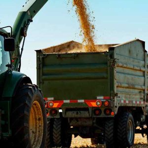 créditos para rubro agrícola en Puerto Vallarta